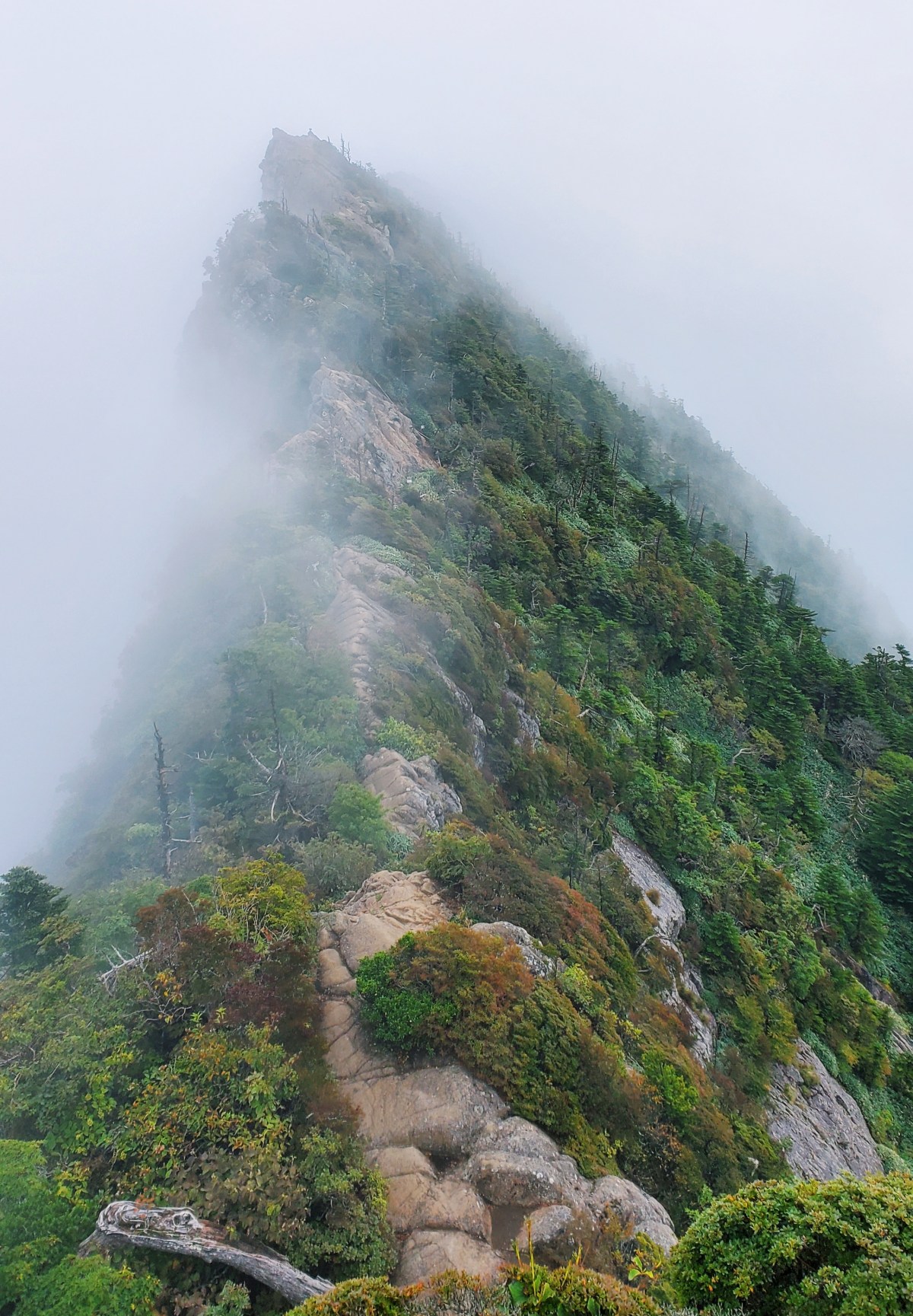 【日本四國 愛媛縣】石鎚山 · 雲霧中的天狗岳 西日本最高峯