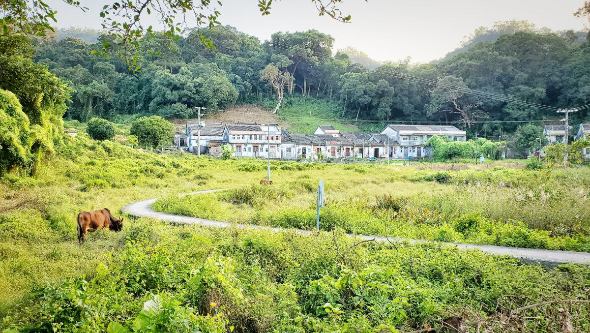 鎖羅盆 · 新界東北穿村旅 （下）